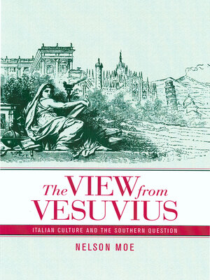 cover image of The View from Vesuvius